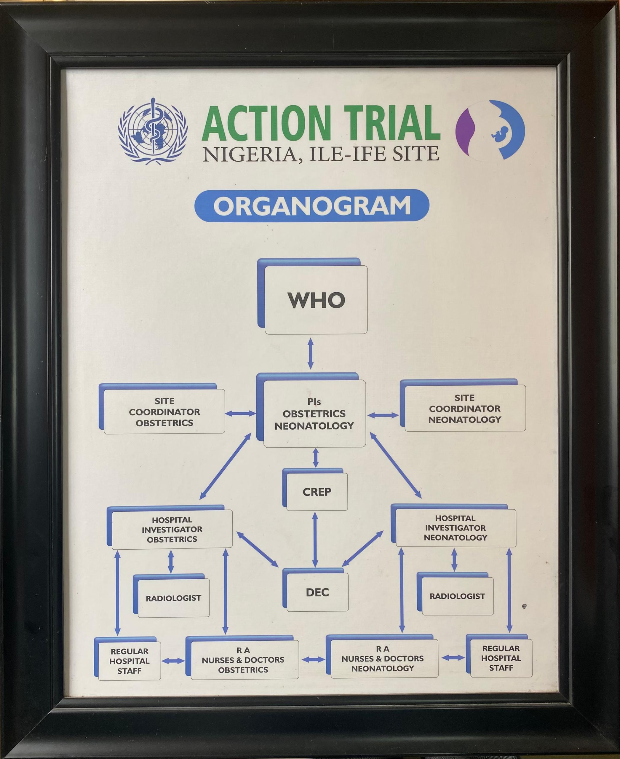Organogram of ACTION III Trial